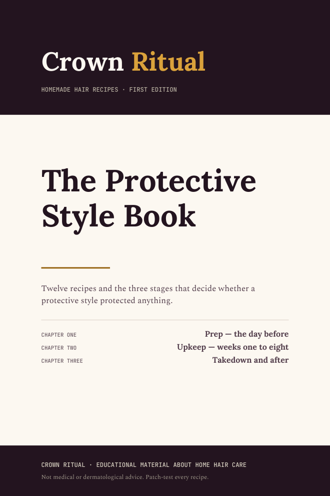 Cover of The Protective Style Book